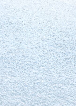 solid white blanket of snow on the groundの写真素材