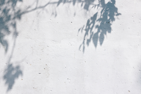 shadow on the white wall of the old shabby stuccoの写真素材