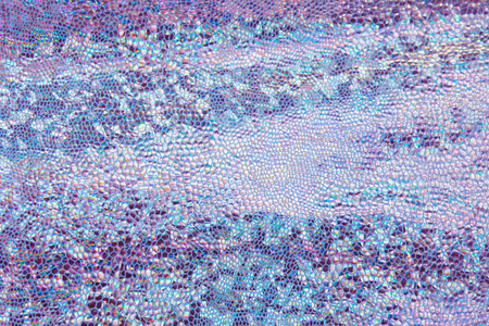 Mother of pearl, pink skin texture backgroundの写真素材