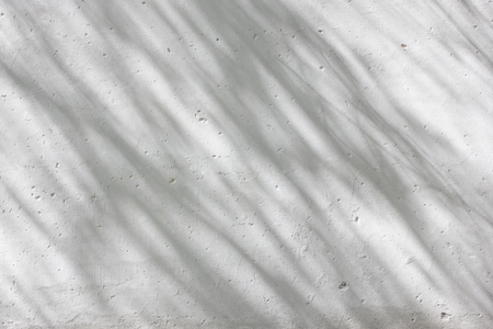 Shadows from foliage on a plastered wallの写真素材