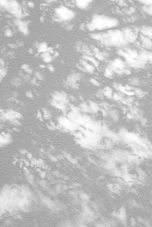 Shadows from foliage on a plastered wallの写真素材