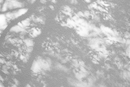 Shadows from foliage on a plastered wallの写真素材
