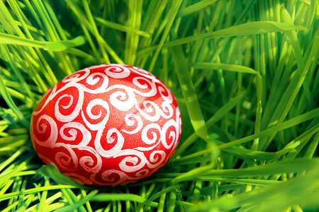Easter eggs hiding in the grassの写真素材