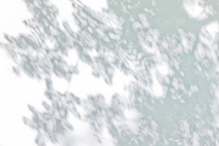 Shadow Of Leaves Reflected On The White Wallの写真素材