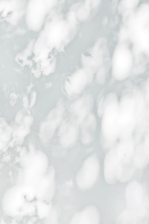 Shadow Of Leaves Reflected On The White Wallの写真素材