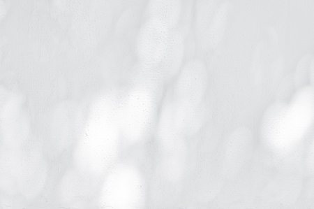 Shadow Of Leaves Reflected On The White Wallの写真素材