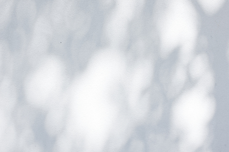 Shadow Of Leaves Reflected On The White Wallの写真素材