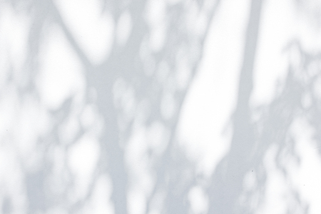 Gray shadow of natural leaves tree and tree trunk falling on white concrete wall for background design and wallpaperの写真素材