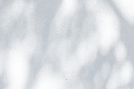 Gray shadow of natural leaves tree and tree trunk falling on white concrete wallの写真素材