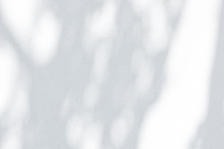 Gray shadow of natural leaves tree and tree trunk falling on white concrete wallの写真素材
