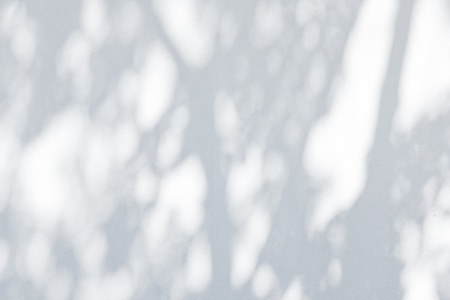 Gray shadow of natural leaves tree and tree trunk falling on white concrete wallの写真素材