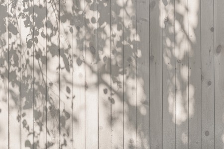 Shadow of trunk and leaves on a white, pink, beige, blue wooden wall for wood texture background.の写真素材