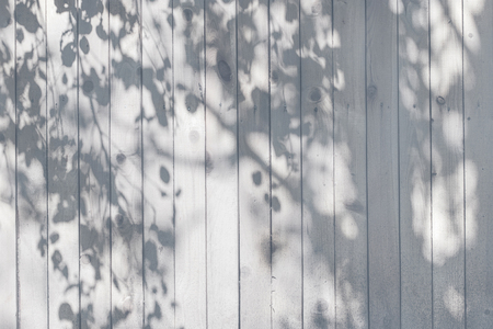 Shadow of trunk and leaves on a white, pink, beige, blue wooden wall for wood texture background.の写真素材