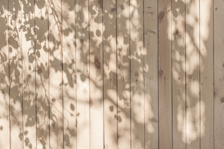Shadow of trunk and leaves on a white, pink, beige, blue wooden wall for wood texture background.の写真素材