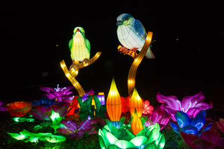 Colorful birds, Belarus, Minsk - March 19, 2019: exhibition of the Minsk International University of Belarusのeditorial素材