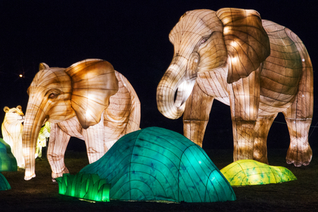 Elephants. Belarus, Minsk - March 19, 2019: Exhibition of the Lantern Festival in the Minsk Botanical Park, Belarusの写真素材