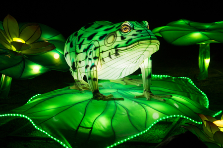 Frog, Belarus, Minsk - March 19, 2019: exhibition of the festival of lanterns in Minsk Botanical Park, Belarusの写真素材