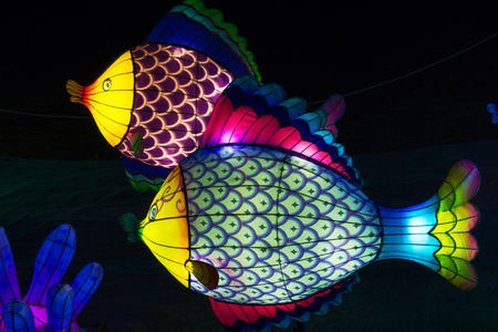 Colorful fish, Belarus, Minsk - March 19, 2019: exhibition of the festival of lanterns in the Minsk Botanical University, Belarusの写真素材