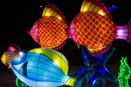 Colorful fish, Belarus, Minsk - March 19, 2019: exhibition of the festival of lanterns in the Minsk Botanical University, Belarusの写真素材