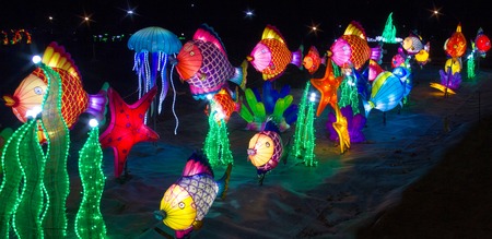 Colorful fish, Belarus, Minsk - March 19, 2019: exhibition of the festival of lanterns in the Minsk Botanical University, Belarusの写真素材