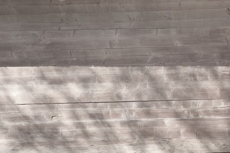 The black and white foliage of leaves on a gray wood wall. Beautyful shadow backgroundの写真素材