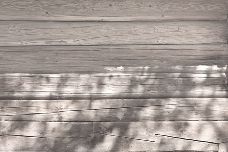 The black and white foliage of leaves on a gray wood wall. Beautyful shadow backgroundの写真素材