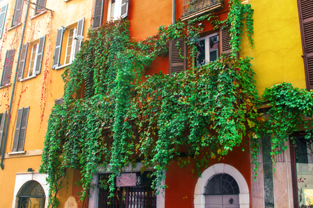 Balcony italian house ivy for decoration design. Travel background. Italy, europe. Italian building exterior.の写真素材