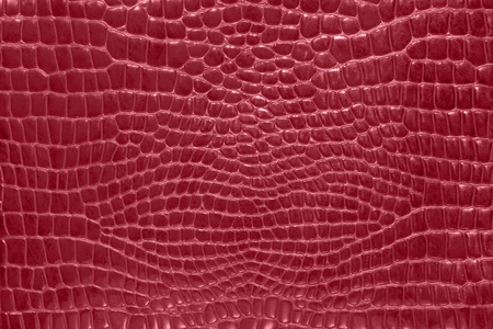 Crocodile skin red color, perfectly will be suitable for any design purposes. Rock texture. Nature background.の写真素材