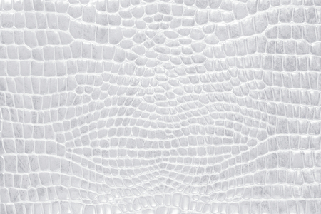 Crocodile skin gray, white, color, perfectly will be suitable for any design purposes. Rock texture. Nature background.の写真素材