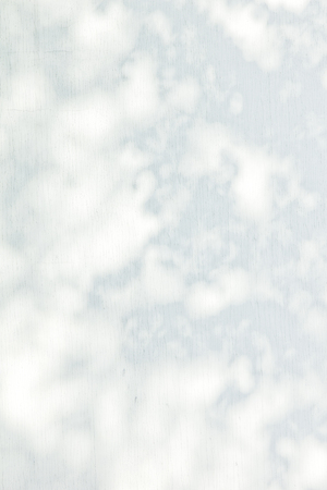 Sunlight and shadows on the wall from the branches of treesの写真素材