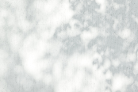 Sunlight and shadows on the wall from the branches of treesの写真素材