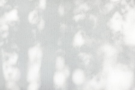 Sunlight and shadows on the wall from the branches of treesの写真素材
