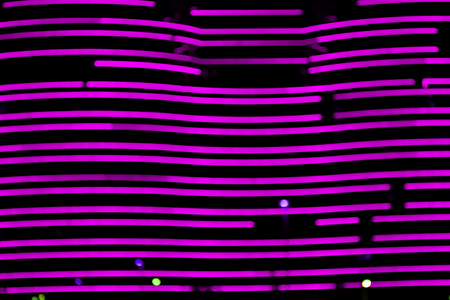 red neon lights of the building. Neon lights building. Night city, dark street. Colorful neon light.の写真素材