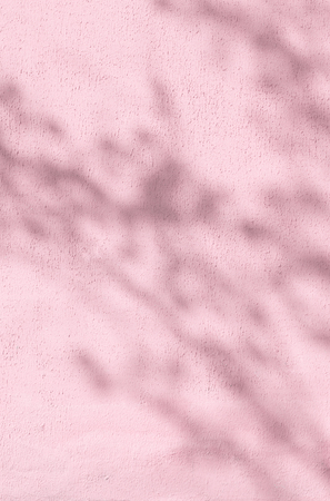 shadows of foliage on a pink plastered wallの写真素材