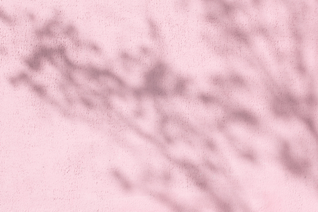 shadows of foliage on a pink plastered wallの写真素材