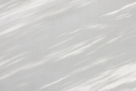 Gray shadow of natural leaves tree and tree trunk falling on white concrete wall for background design and wallpaperの写真素材