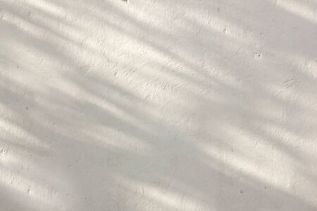 Gray shadow of natural leaves tree and tree trunk falling on white concrete wall for background design and wallpaperの写真素材