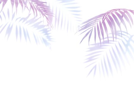 purple, burgundy palm leaves on a white background, single elements isolated on white background, exotic plantsの写真素材