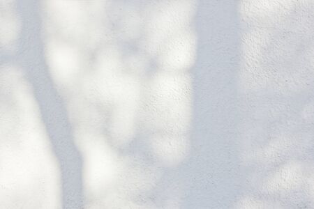 Sunlight and shadows on the wall from the branches of treesの写真素材