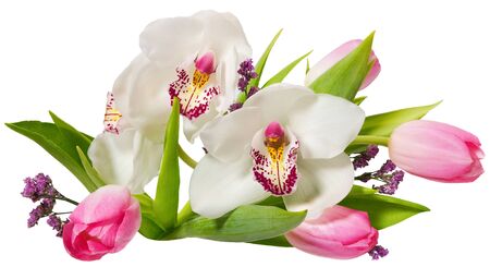 romantic bouquet with white orchids with tulips, isolated backgroundの写真素材