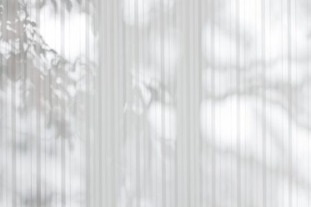 Solar glare and shadows on the wall from the leavesの写真素材