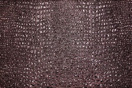brown background of the green faux python skin snakes, crocodile, trendの写真素材