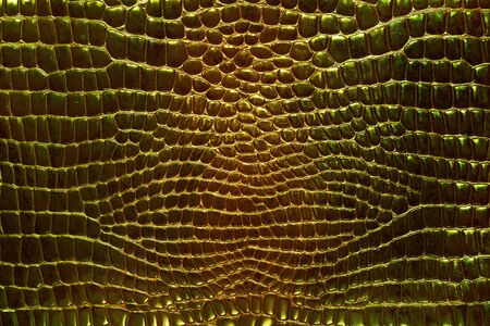 gold green shiny snake or alligator skinの写真素材