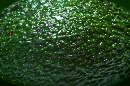 Macro close up of avocado skin showing the brown and green surface texture of the fruit.の写真素材