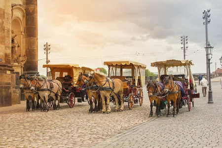 Three horse-drawn carts pulled by two horses stands on the cobbled pavement of the city.のeditorial素材