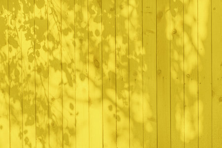 Color of 2021 Bright yellow. Shadow of trunk and leaves on a bright yellow wooden wall for wood texture background.の写真素材