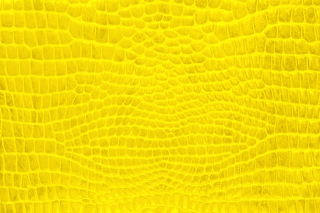 Yellow crocodile skin gray, white, color, perfectly will be suitable for any design purposes. Leather texture.の写真素材