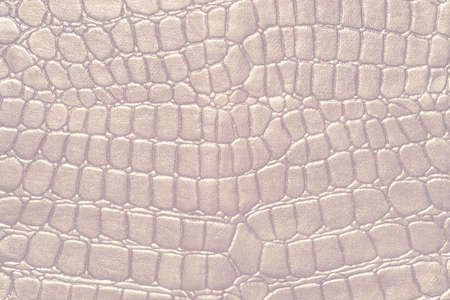 mother-of-pearl almost white crocodile reptile skin used as a backing for your designの写真素材