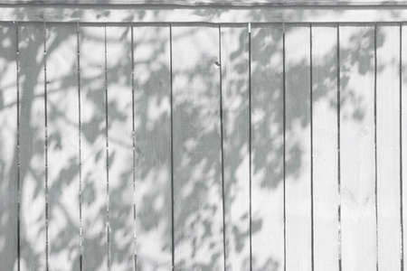 black and white tree shadow on wooden fence. Background for your design.の写真素材