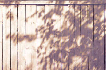 Soft evening brown tkni from foliage on a white fence, background for your design.の写真素材